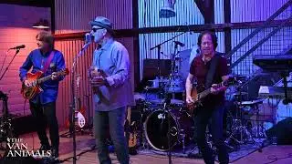 The Van Animals & E Street News Tribute Bands Promo
