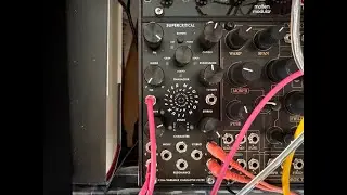 Neutron Flux fat vs AJH Moog ladder filter 02 lead & pads