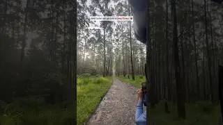 Muthanga Wildlife Sanctuary | Wayanad | Kerala | #muthanga #wayanad