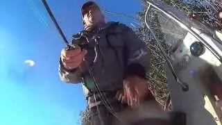 DELTA DANUBE FISHING segment: perch