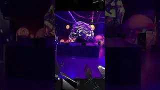 Meow Wolf