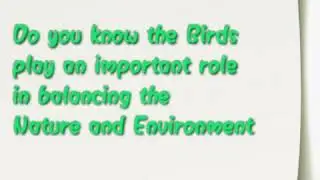 Save Birds.. Save Nature