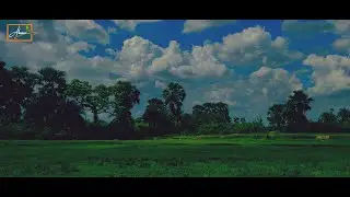 Natural beauty of Naogaon, bangladesh ||  Altadighi National Park || প্রকৃতিক মনোরোম পরিবেশ ||