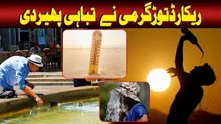 Record-Breaking Heat in Europe | 62,000+ Dead & Nature in Danger | Such News