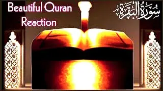 Surah Baqarah (Beautiful Recitation/Reading) By Sheikh Mishary Afasy With Arabic  سورة البقره Ep068