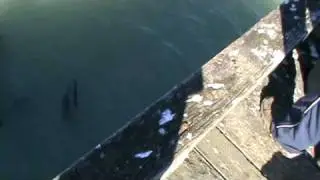 new zealand. Oamaru blue moki fishing