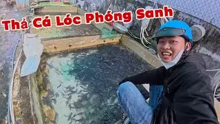 Lần Đầu Đi Thả Cá Lóc, Cá Tai Tượng, Cá Trê Phóng Sanh