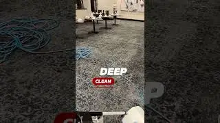 👉🏻Get a cleaner, healthier restaurant with our Carpet Cleaning Service for Restaurants!