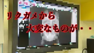 《リクガメ飼育》リクガメから大変なものが出てきました