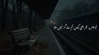 Toh Kya Yeh Tay Hai (Nayyara Noor) Translation & Lyrics (NCS)