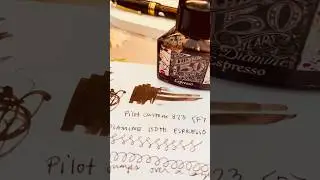 First ever empty ink bottle!!! 🖋️🤎☕️ #fountainpen #journal