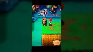 Minor Bug: M&L Superstar Saga & Bowser's Minions