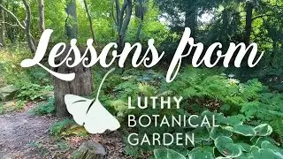 Woodland Gardens