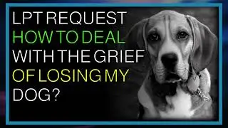 Best Life Advice Reddit | LPT Request How to deal with the grief of losing m