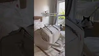 Долой старую переноску для кошек, да здравствует новая | Улучшите условия путешествий вашего коте...