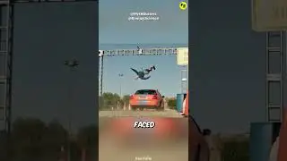 Can physics save you in a car crash?