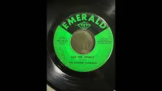 DYNAMIC CONSOULS ask the lonely