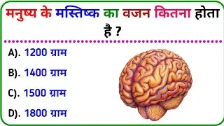 GK || GK Question || GK In Hindi || GK Question and Answer || GK Quiz || GK WALA DHONI
