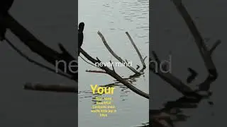 bestmind