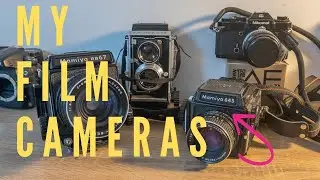Every Film Camera I Own & The Photos I Take With Them