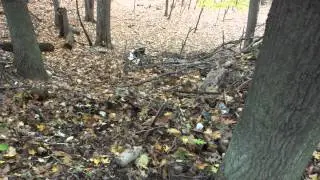 finding old glass bottles and beer cans.