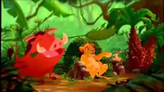 Disney Lessons