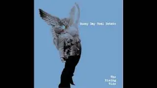 Sunny Day Real Estate- Killed By An Angel