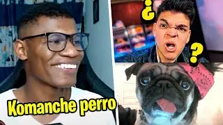 JH le dice PERRO a KOMANCHE? 🐶