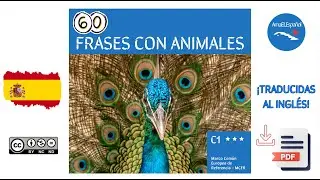 60 Essential Animal Phrases in Spanish with Examples, English Translations & Free PDF
