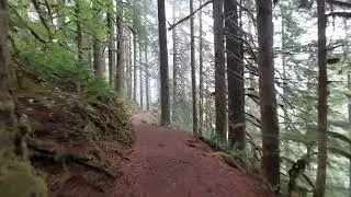george walking the rim trail in Silver Falls