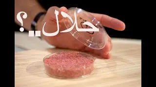 لحوم حقيقة مصنعة في المخابر .. حلال ام حرام؟