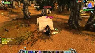 Ashes to Ashes Quest Playthrough - Stonetalon Mountains