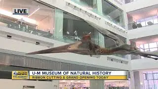 UM Museum of Natural History