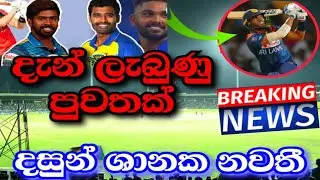 Dambulla Captain Niroshan Dickwella in Semi-Finals oF LPL 2021 Tournament|Sri Lanka Cricket-NEWS