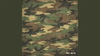 Bad Words