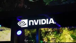 Nvidia rocks markets with record stock slide | REUTERS