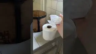 Just Toilet Paper #asmr #morning routine #story
