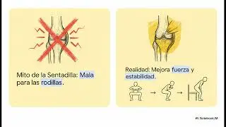 Los patrones de movimiento importan m&aacute;s que los m&uacute;sculos aislados.