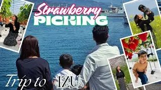 🇯🇵Japan Travels: Strawberry Picking in Izu 🍓 | Family Vlog Part 1 | Izu Peninsula | Kavya Vlogs