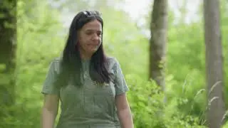 Olga Cafiero x Natur&eacute;um - (In)animalis