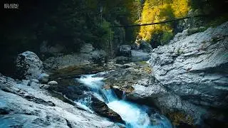 Relaxing Water Sound Harp Music - Calm Water,  Loop Creek Sound, WaterFall