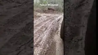 Subaru Outback XS 2021 - Mud - Chile