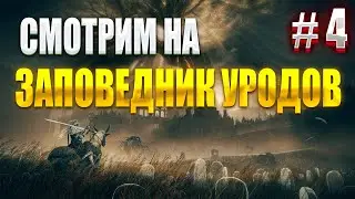 Оправляюсь от травмы бегемота |Elden Ring Shadow of Edtree|