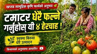 टमाटर खेतीमा यी ४ उपाय बेवास्ता नगर्नुहोस् | Tomato Plant Care | Organic Farming