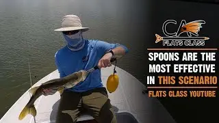 Spoons Are The Most Effective In This Scenario - Flats Class YouTube