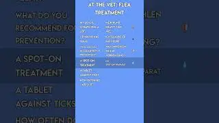 German for Pet Owners 🐾 How to Get Flea Treatment at the Vet!