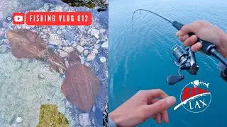 Squid Eging, Soft Baiting & Bait Fishing in Wellington Harbor