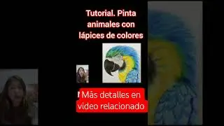 #tutorialdearte #tutorial #lapicesdecolores #tallerdearte #talleronline #taller #arte #diy #diyarte