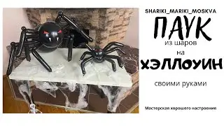 Паук из шаров на Хэллоуин своими руками/Spider of balls for halloween