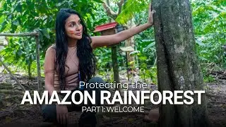 Amazon Series Introduction: Why Every Human on Earth is Connected to the Rainforest